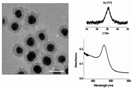 XPS Characterization of Au (Core)/SiO2 (Shell) Nanoparticles