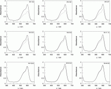 Evidence for Compartmentalization of Reagents in w/o Microemulsions