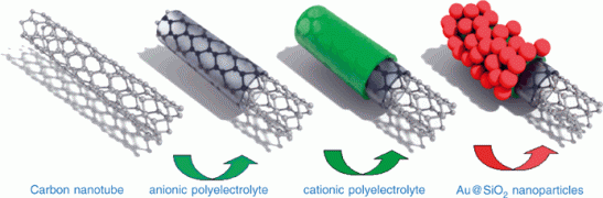 Linear Assemblies of Silica-Coated Gold Nanoparticles using Carbon Nanotubes as Templates