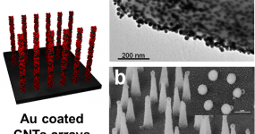 Au nanorods coated CNTs