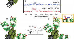 Label-free SERS detection of relevant bioanalytes on silver-coated carbon nanotubes