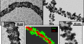 Highly Catalytic Single Crystal Dendritic Pt Nanostructures Supported onto Carbon Nanotubes