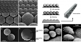 CNT assembled onto spherical microparticles