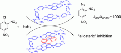 Metallacycle-Catalyzed SNAr Reaction in Water: Supramolecular Inhibition by Means of Host–Guest Complexation