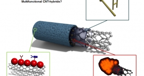 Multifunctional CNT-hybrids