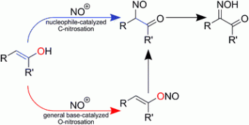 Reply to “A Further Study of Acetylacetone Nitrosation”