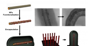 Nano-micro reactors based on encapsulated CNTs