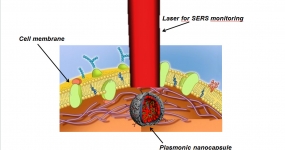 Plasmonic nanoprobes for intracelullar real time optical monitoring of NO in living cells