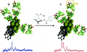 Label-Free SERS Detection of Relevant Bioanalytes on Silver-Coated Carbon Nanotubes: The Case of Cocaine