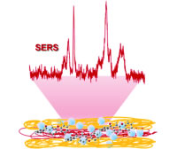 Loading of Exponentially Grown LBL Films with Silver Nanoparticles and Their Application to Generalized SERS Detection