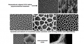 Fabrication and biocompatibility of CNT-based scaffolds for cell seeding and growth