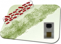 Direct Growth of Shape Controlled TiO2 Nanocrystals onto SWCNTs for Highly Active Photocatalytic Materials in the Visible